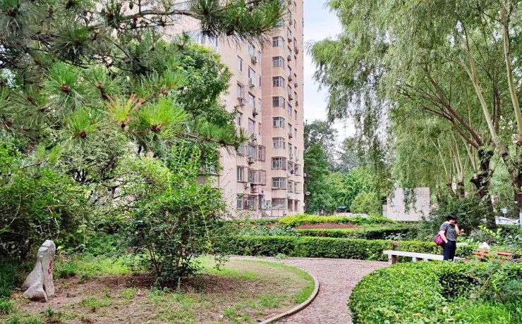 海淀区 西三环北路105号西1区塔3号楼1层65号（师范大学家属院小区）