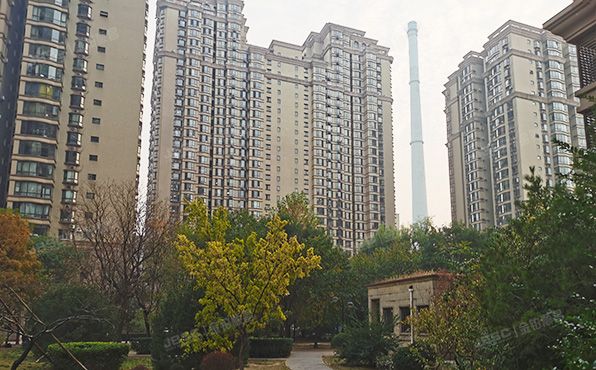 朝阳区 东区国际1号楼7层704