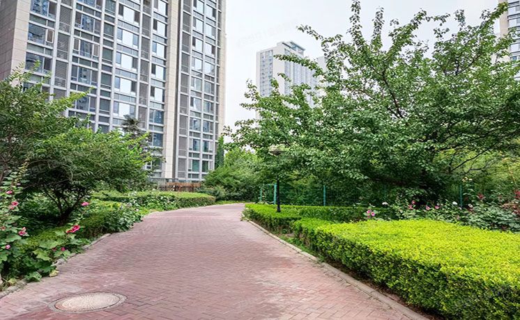 通州区 芙蓉园293号楼21层3单元2104（京贸国际城）