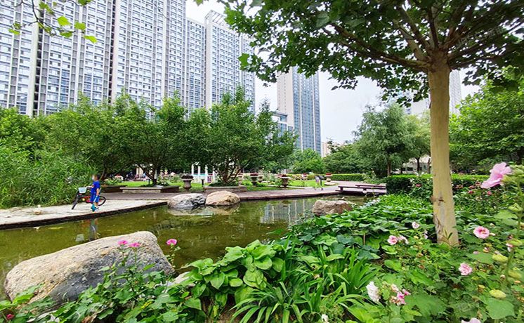 通州区 芙蓉园293号楼21层3单元2104（京贸国际城）