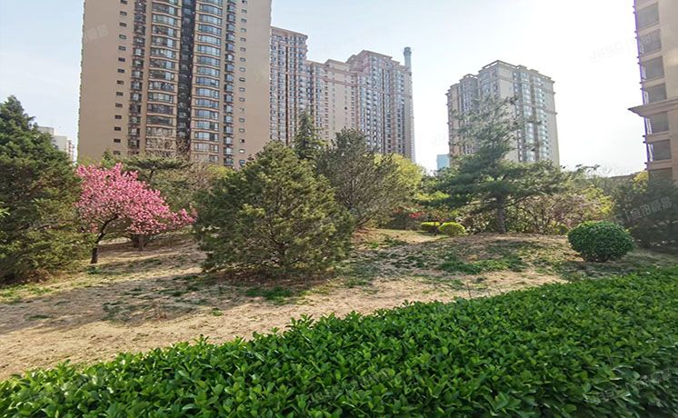 朝阳区 东区国际1号楼7层704