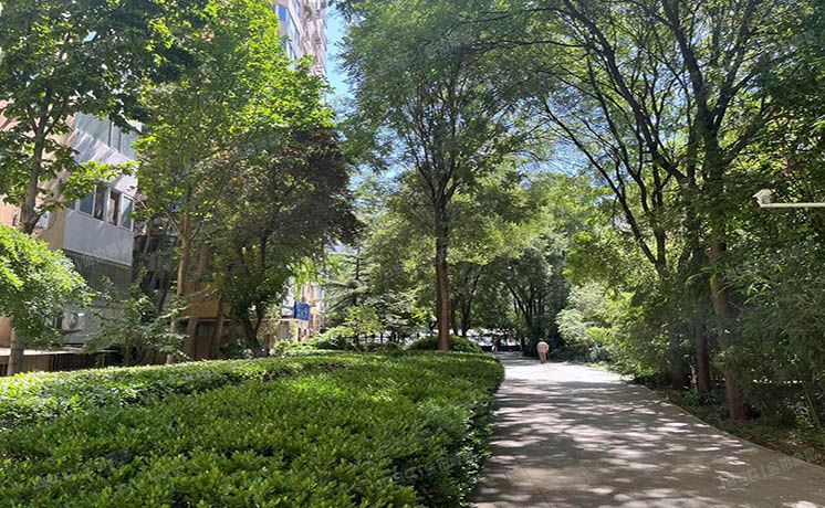 朝阳区 北苑路180号4号楼5层504号（加利大厦）