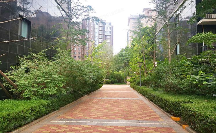 丰台区 中景未山赋1号楼1层2单元101号及-101号