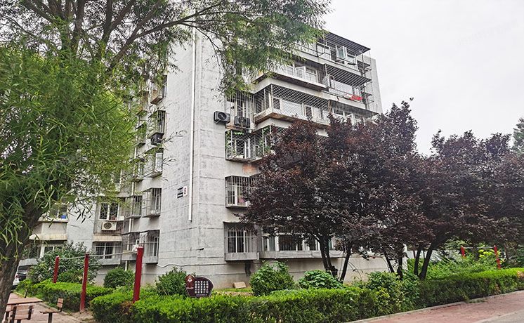 顺义区 西辛北区8号楼3层304