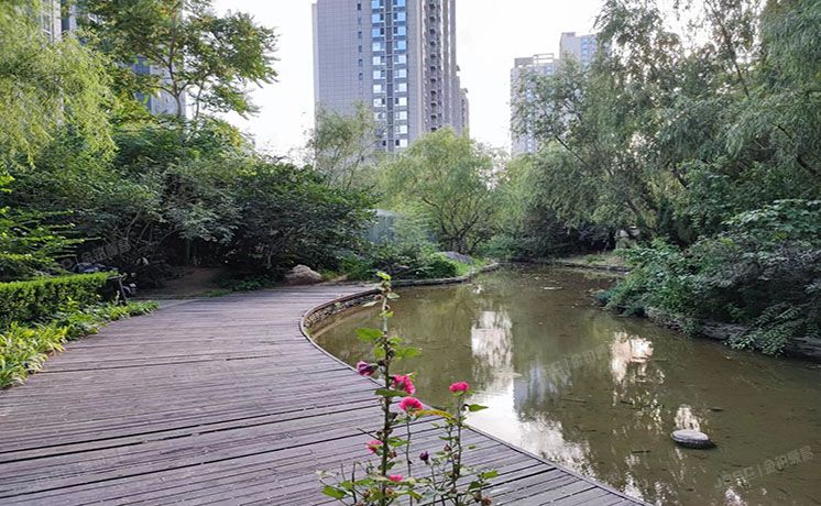 通州区 京贸国际城286号楼20层3单元2303