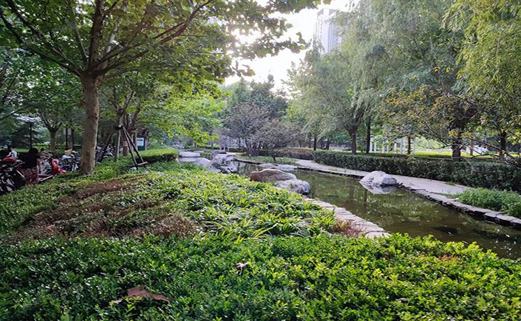 通州区 京贸国际城286号楼20层3单元2303