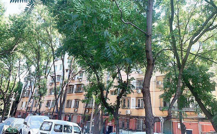 丰台区 蒲黄榆二里7号楼2层1单元201号