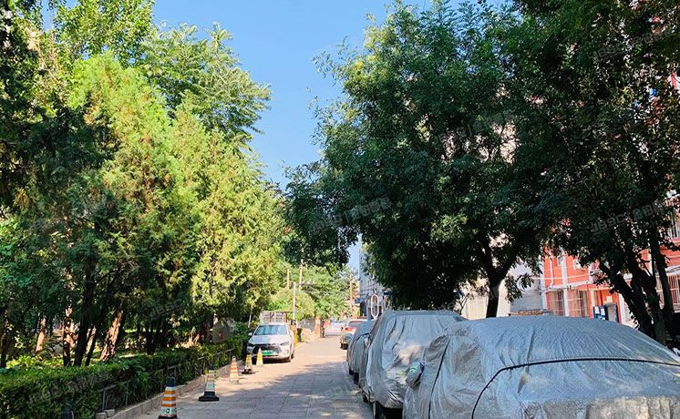 朝阳区 金台里15号楼6单元601号