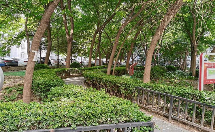 东城区 朝阳门南小街16号楼4层4单元403 按经适房管理