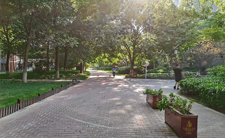 朝阳区 国奥村1号楼1层1单元101（带院子）