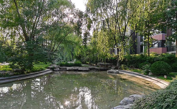 朝阳区 国奥村22号楼5层1单元502