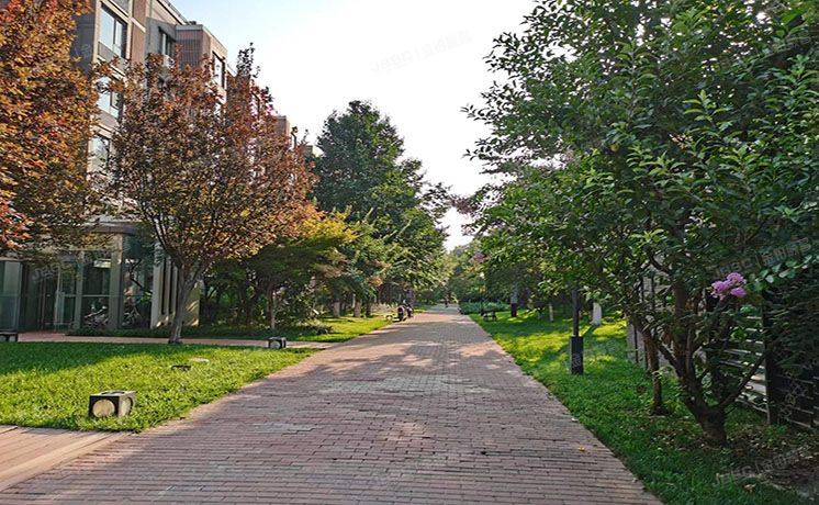 朝阳区 国奥村1号楼2层2单元201