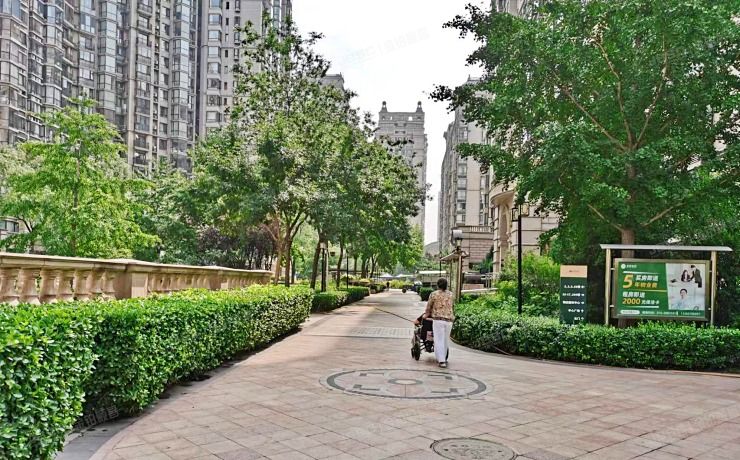 朝阳区 珠江帝景208号楼2层206