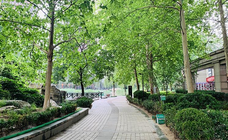 东城区 万国城MOMA3号楼19层2202