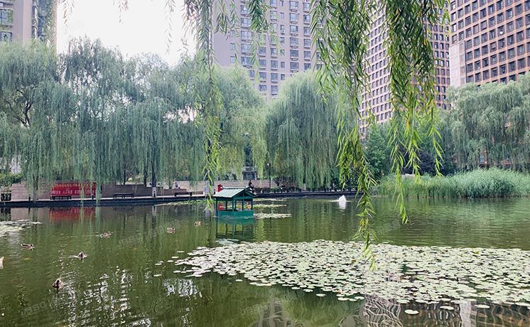 东城区 万国城MOMA3号楼19层2202