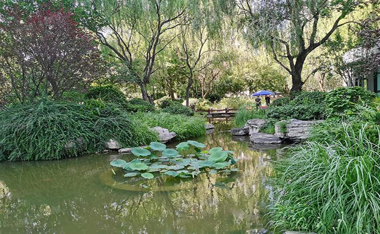 朝阳区 禧福汇2号楼10层1单元1004