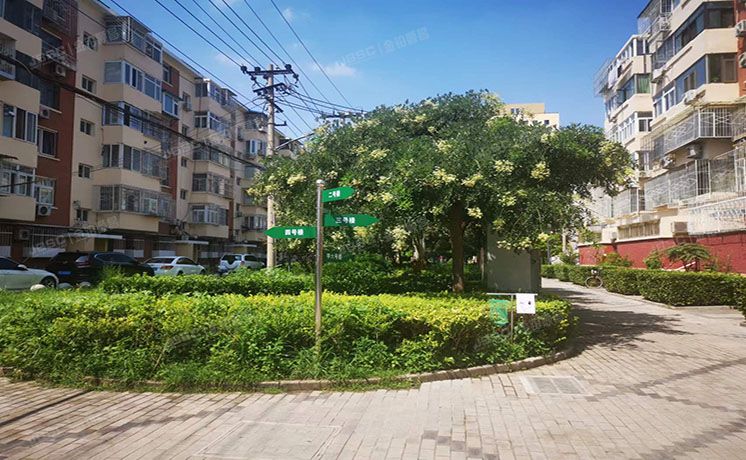 朝阳区 胜古北里甲6号楼3层1门303