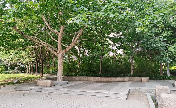 朝阳区 阳光上东二区7号楼8号楼裙房1层2-97 商业