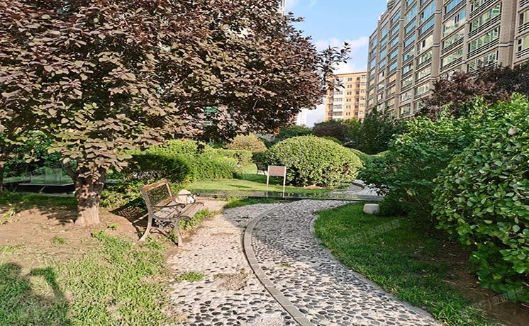 朝阳区 英特公寓1号楼14层A1706