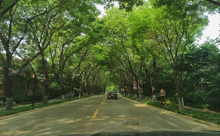 昌平区 小汤山御汤山1-11号1-2层