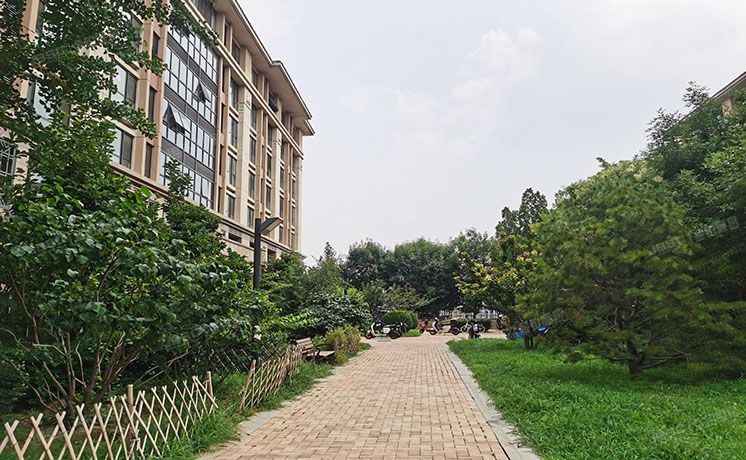 通州区 滨榆东路2号院1号楼113室（朝北8080）