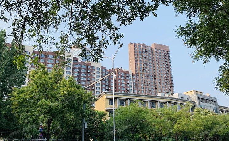 朝阳区 融科橄榄城510号楼10层2单元1101