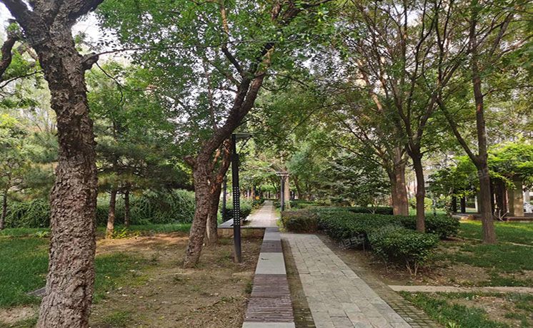 朝阳区 格林莱雅2号楼10层1单元1002