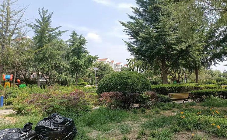 大兴区 郁花园一里28号楼6层2-602