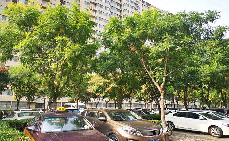 大兴区 庑殿家苑10号楼9层6单元902