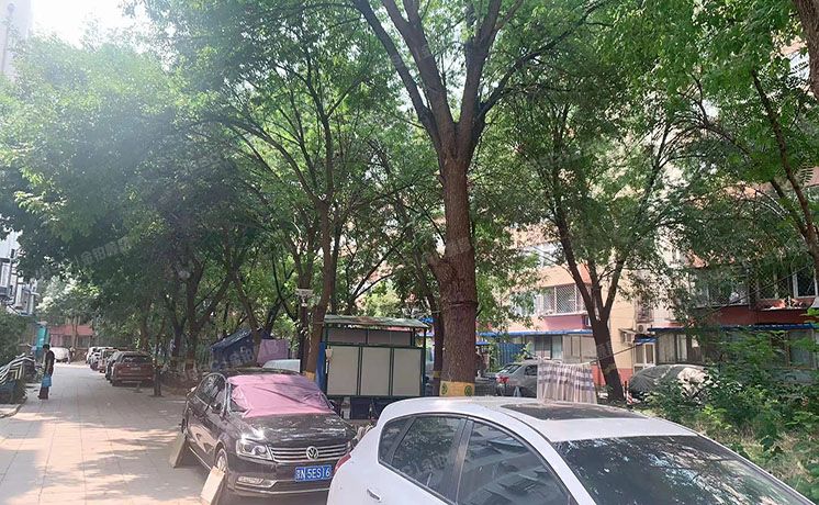 丰台区 同仁园10号楼1层17门101  房改房