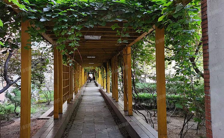 朝阳区 科学园南里风林绿洲11号楼10层5门10B