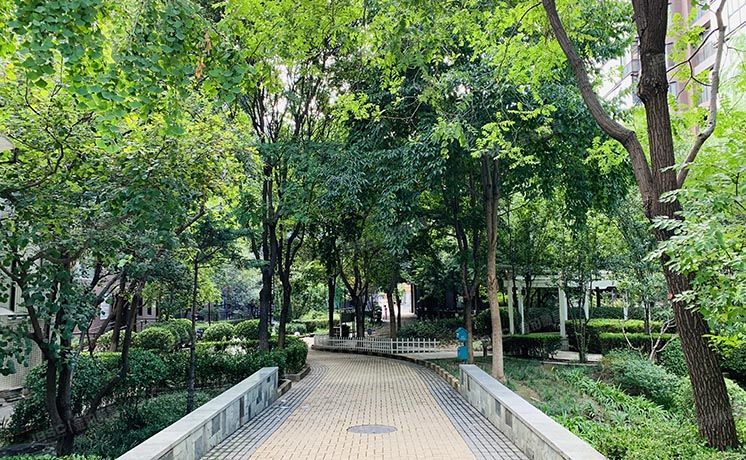 东城区 本家润园7号楼8层2单元801