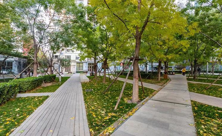 朝阳区 泰达时代中心4号楼8层801 公寓