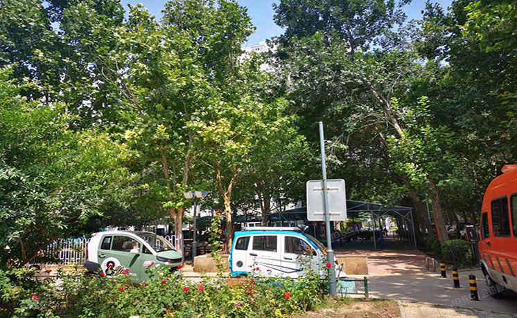 丰台区 冠军楼4号楼14层1406号 成本价