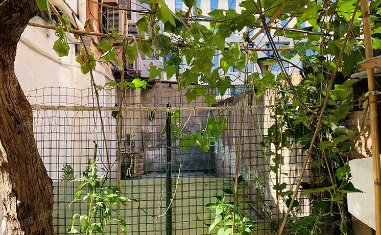 朝阳区 裕民路1号院3号楼1层5门101