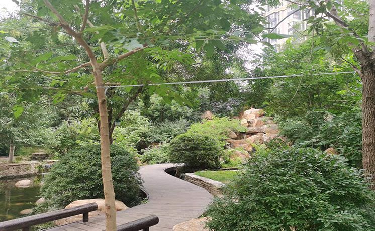 通州区 k2百合湾4号楼10层1单元1001