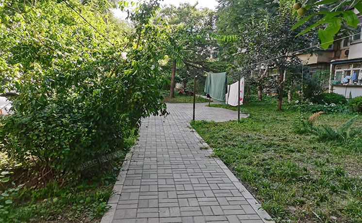 朝阳区 三源里南小街9号楼2层1单元203