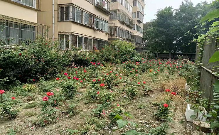 大兴区 旧宫镇红星北里甲3号楼1层6-101  房改房