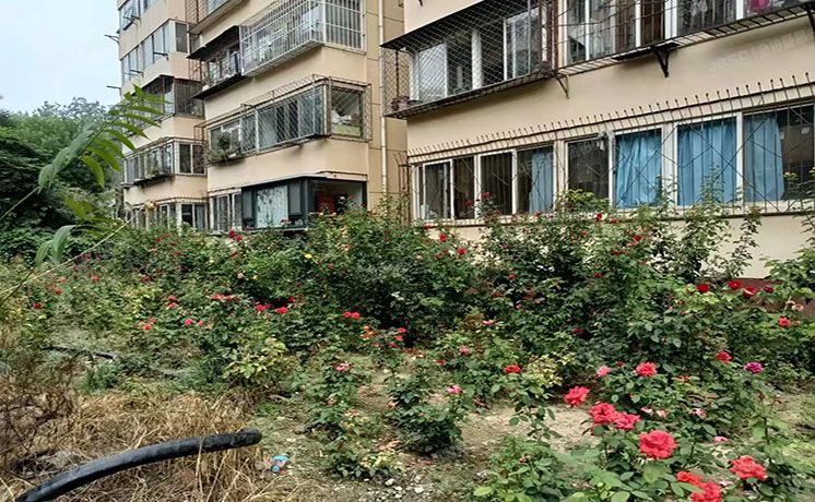 大兴区 旧宫镇红星北里甲3号楼1层6-101  房改房