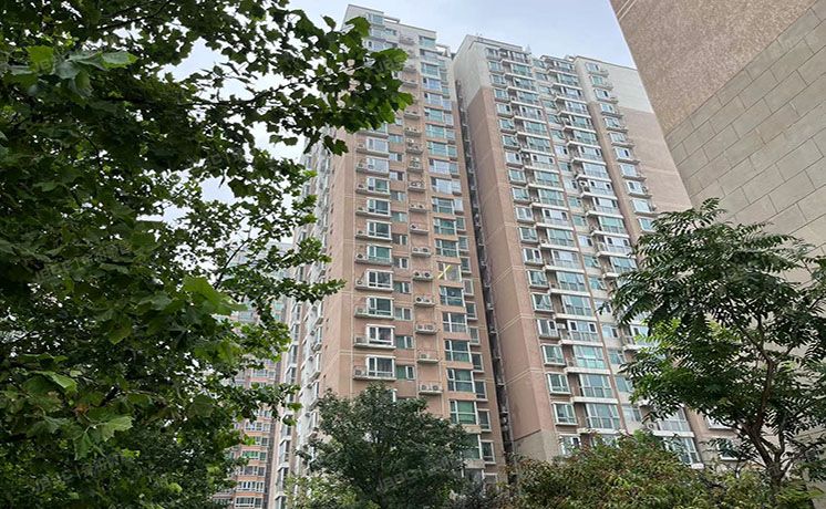 朝阳区 方舟苑8号楼2层0210（城市月光）