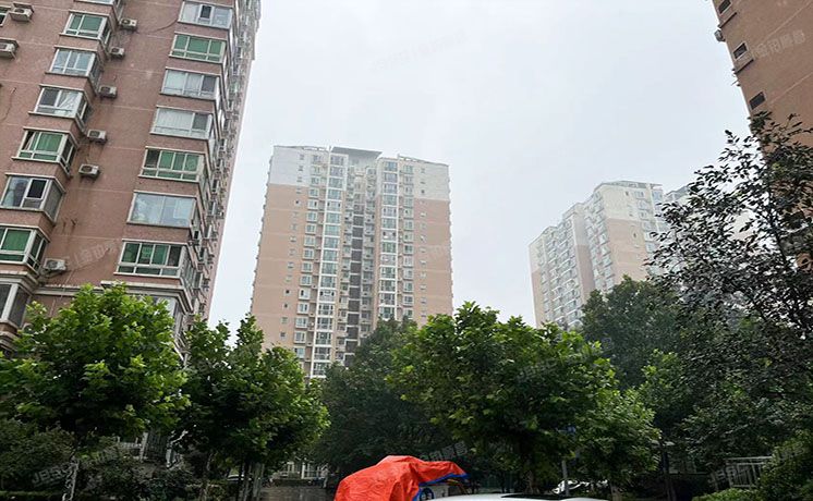 朝阳区 方舟苑8号楼2层0210（城市月光）