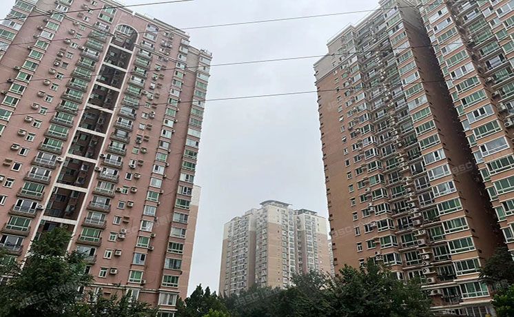 朝阳区 方舟苑8号楼2层0210（城市月光）