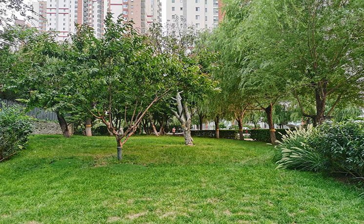 朝阳区 上元君庭28号楼29层C单元3302