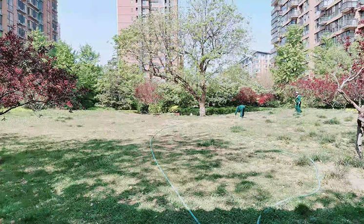 朝阳区 华侨城9号楼11层9单元1101