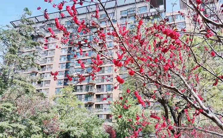 朝阳区 华侨城9号楼11层9单元1101