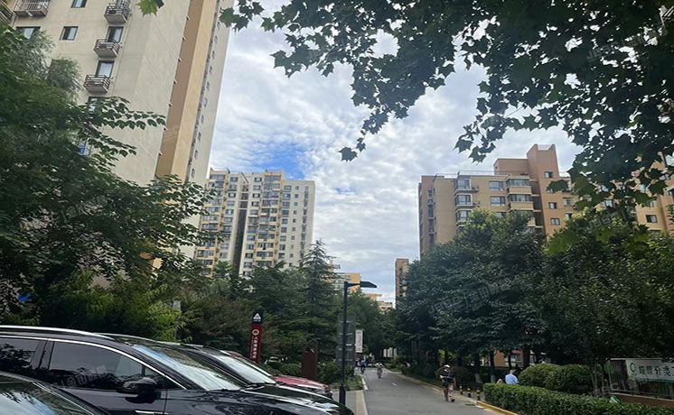 朝阳区 金蝉南里5号楼5层503