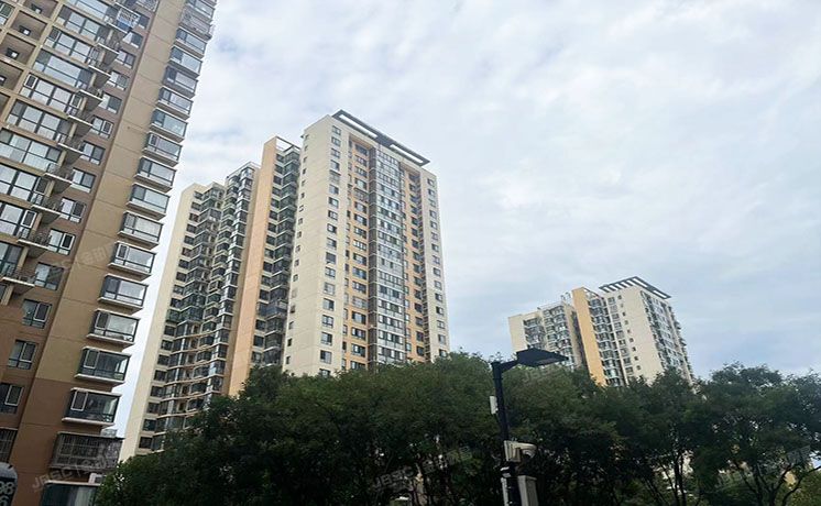 朝阳区 金蝉南里5号楼5层503