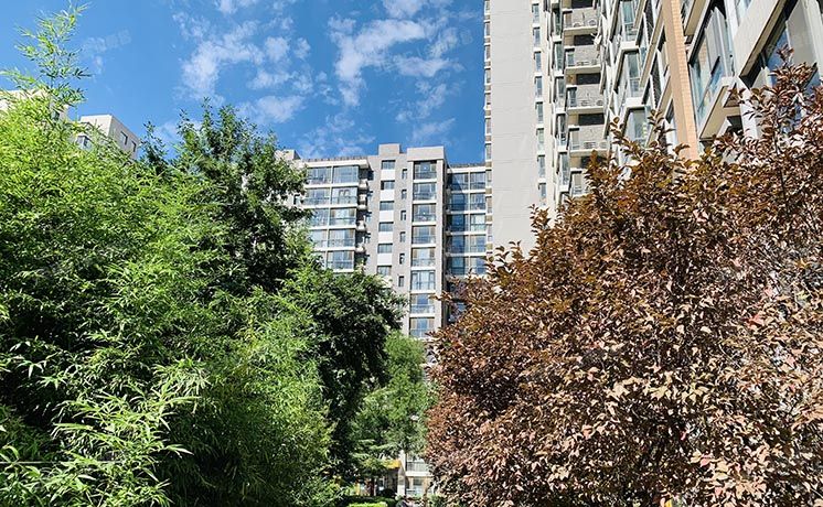 朝阳区 CBD总部公寓二区6号楼8层7单元803号