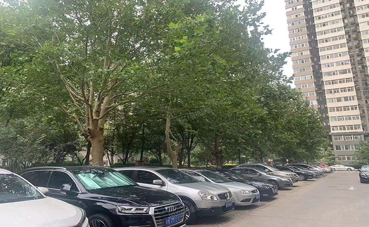 朝阳区 美景东方7号楼12层1505