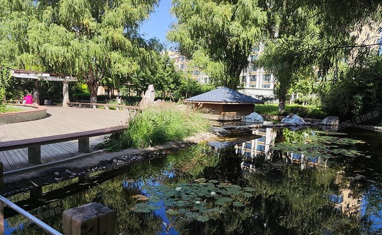 房山区 长阳镇光和作用17号楼7层2单元702